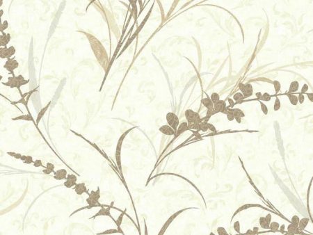 York WB5419 Botanical Fantasy Floral Branch Toss Wallpaper Hot on Sale