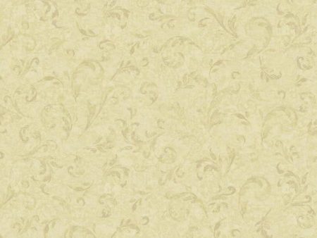 York WB5426 Botanical Fantasy Floral Texture Wallpaper Sale